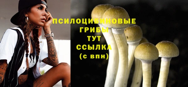 гашик Вязьма