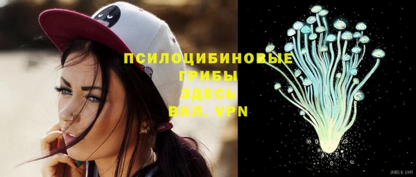 СК Вязники