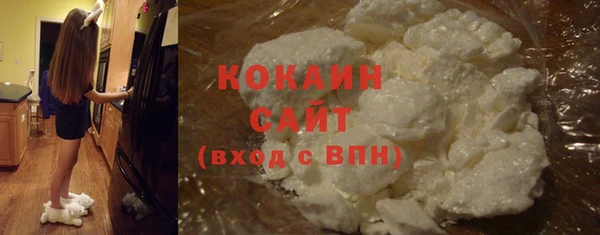 гашик Вязьма