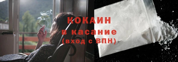 гашик Вязьма