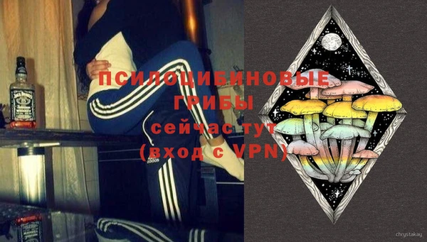 СК Вязники