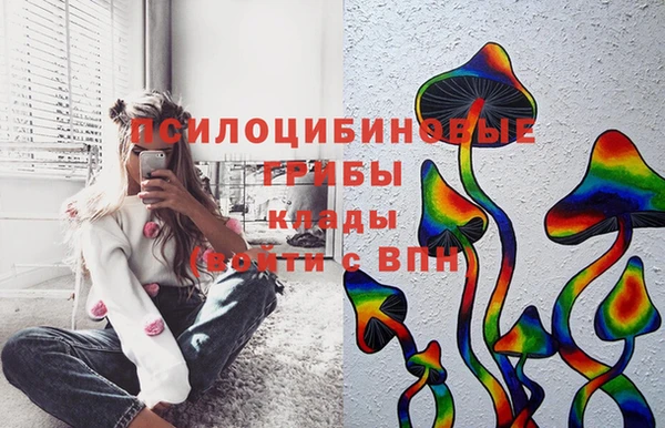 не бодяженный Вяземский