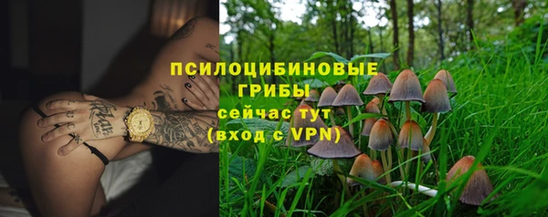 СК Вязники
