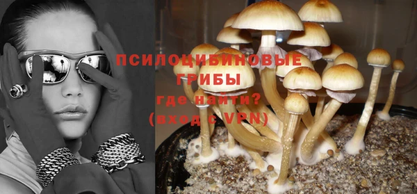 не бодяженный Вяземский