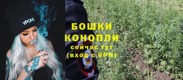 гашик Вязьма