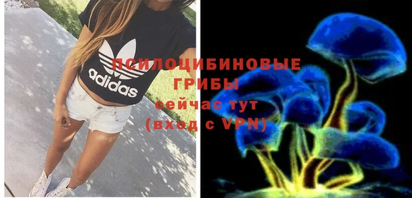 гашик Вязьма