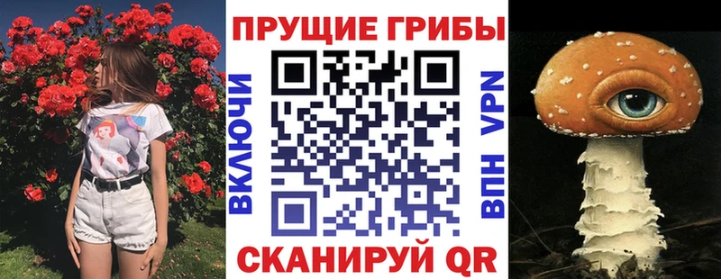 Галлюциногенные грибы Psilocybine cubensis Томилино